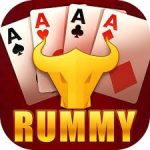 Rummy Bharat logo